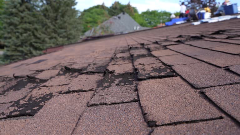 Best Solar Panel Roofing Installation  in Raubsville, PA
