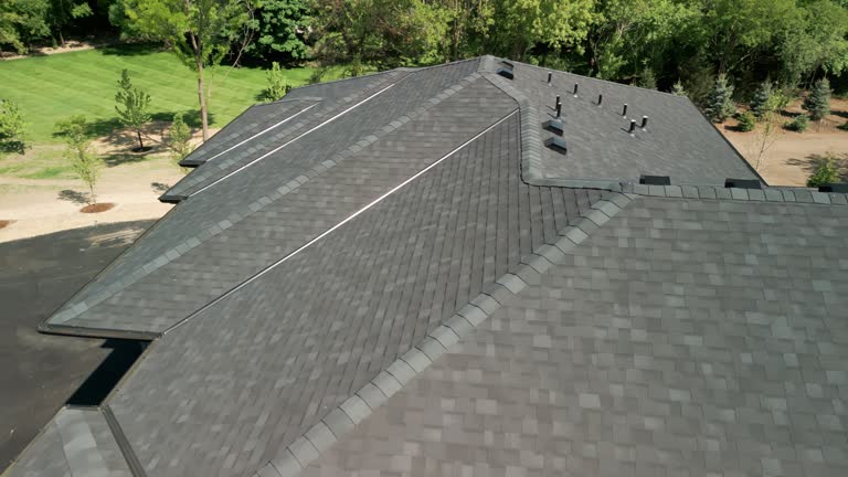 Best Roof Moss and Algae Removal  in Raubsville, PA