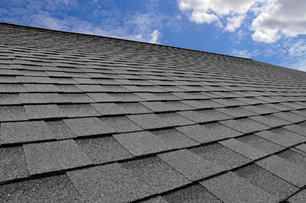 Best Gutter Installation and Repair  in Raubsville, PA